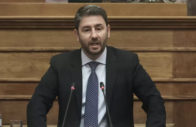 Ανδρουλάκης: Την αργοπορία του πρωθυπουργού πληρώνει ακριβά ο ελληνικός λαός