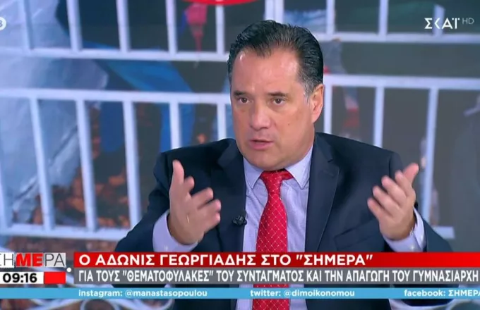 Γεωργιάδης για Θεματοφύλακες: Άλλο στολές, άλλο απαγωγές - Σχεδόν τρομοκρατική οργανωση