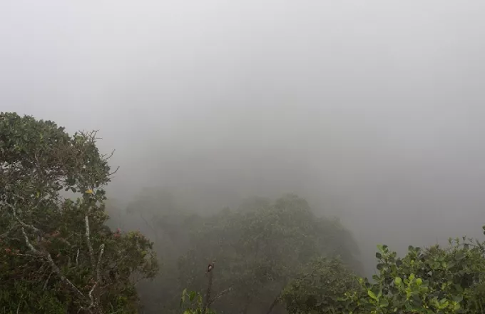 Δέκα νεκροί σε συντριβή αεροσκάφους στη ζούγκλα της Κολομβίας