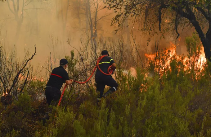 Χιλιάδες στρέμματα δάσους καταστράφηκαν στις γειτονικές επαρχίες Ουεζάν, Τετουάν και Ταζά