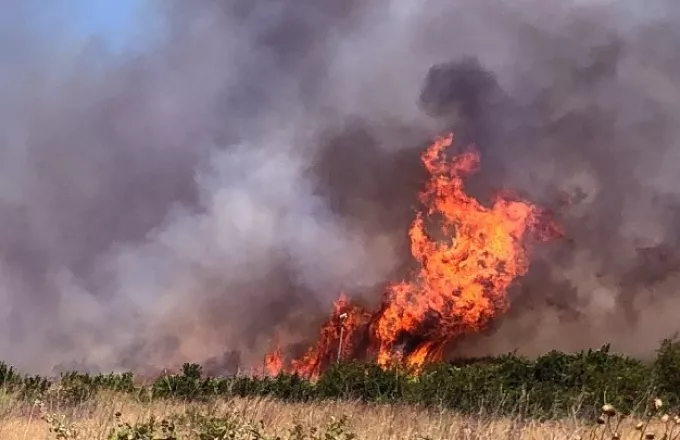 Πολύ υψηλός κίνδυνος πυρκαγιάς την Παρασκευή - Οι «πορτοκαλί» περιοχές