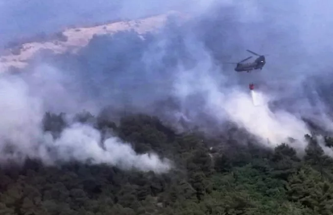 Ώρες αγωνίας από τη φωτιά στον Έβρο: Συνεχίζεται η μάχη με τις φλόγες 