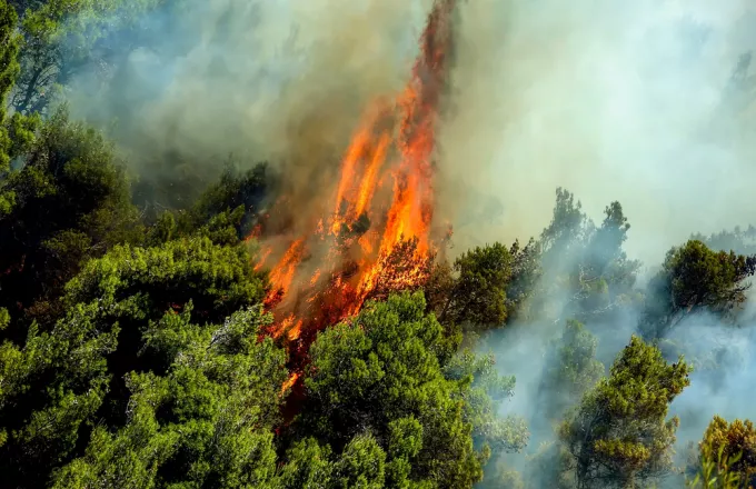 Υπό μερικό έλεγχο οι πυρκαγιές σε Λάγιο Λακωνίας και Ελληνικό Αργολίδας