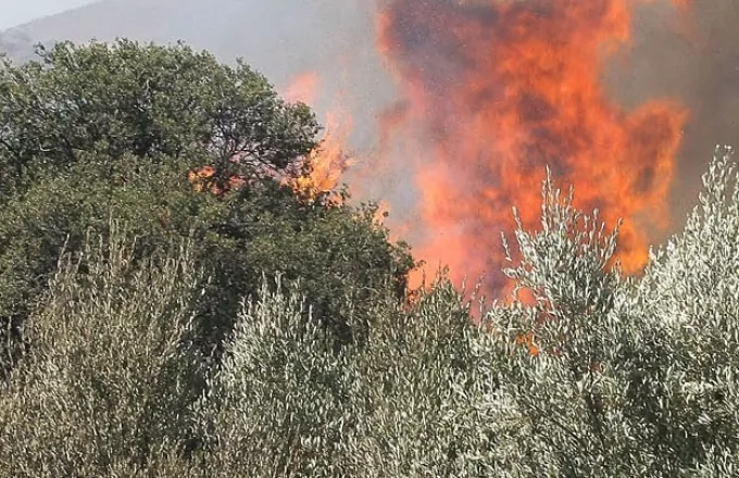 Δύο φωτιές τώρα σε Πρέβεζα και Τρίπολη