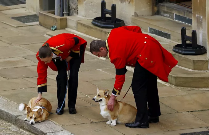 Κηδεία Βασίλισσας Ελισάβετ: Tα Corgis την περίμεναν έξω από το Winsdor