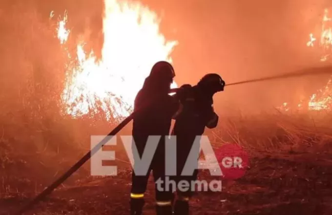 Πυρκαγιά στα Ψαχνά