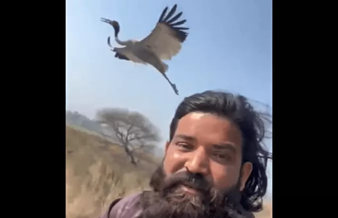 Ινδία: Αγρότης διέσωσε έναν γερανό και ζητά από τις αρχές να απελευθερώσουν τον «φίλο» του - Δείτε βίντεο