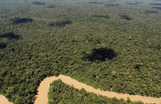 Μειώθηκε η αποψίλωση του Αμαζονίου 