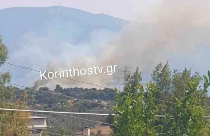 Φωτιά σε αγροτοδασική έκταση στο Λημέρι Κορινθίας