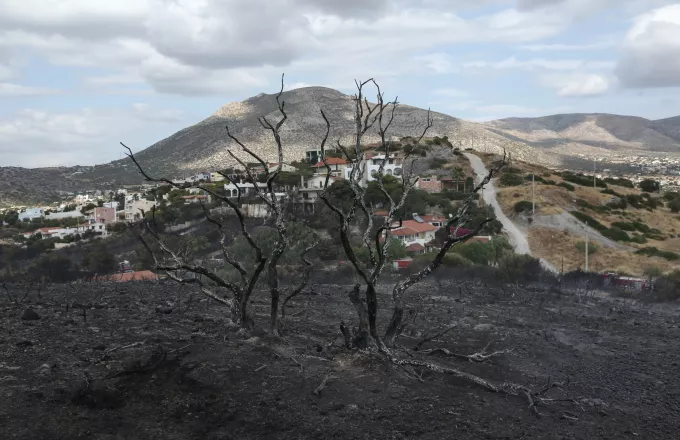 Αποζημιώσεις πυρκαγιά