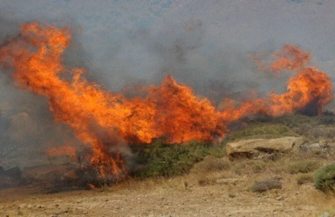 Σε εξέλιξη οι φωτιές σε Μαγνησία, Ρόδο, Φθιώτιδα και Κάρυστο