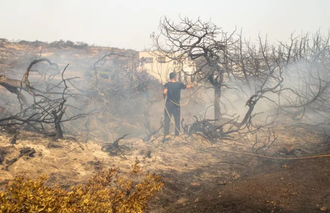 ΥΠΑΑΤ: 50.000 ελαιόδεντρα και 2.500 ζώα «χάθηκαν» από τη φωτιά στη Ρόδο - Μεγάλη καταστροφή ζωικού κεφαλαίου στην Θεσσαλία