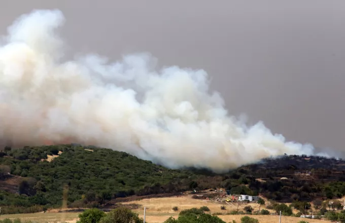 Φωτιά στον Έβρο: Άκαυτο το 42%, του Δάσους της Δαδιάς