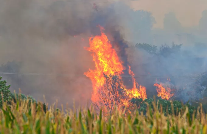  Φωτιά σε αγροτοδασική έκταση στη Χίο