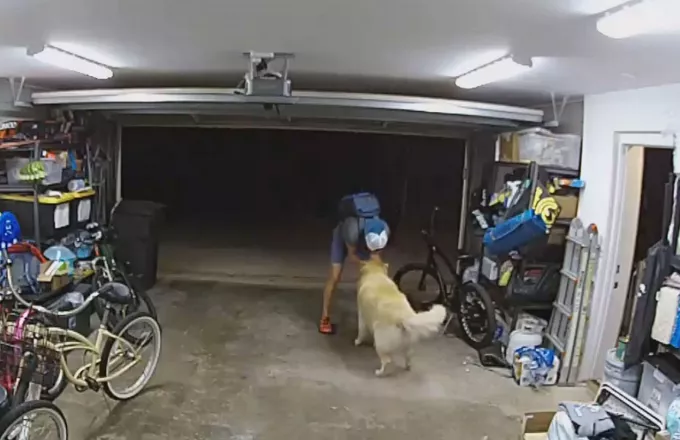 ΗΠΑ: Μπήκε σε σπίτι να κλέψει και έγινε φίλος με τον σκύλο της οικογένειας