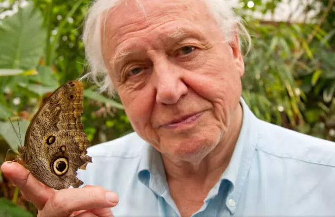 Ο David Attenborough