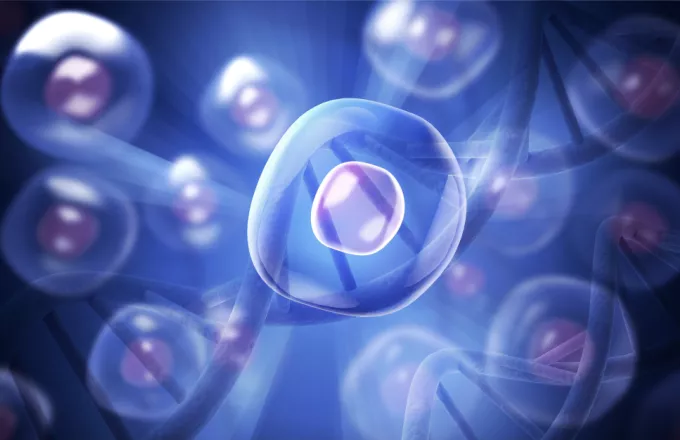 Βρετανία: Ερευνητές δημιούργησαν ανθρώπινα ψευδοέμβρυα από βλαστοκύτταρα