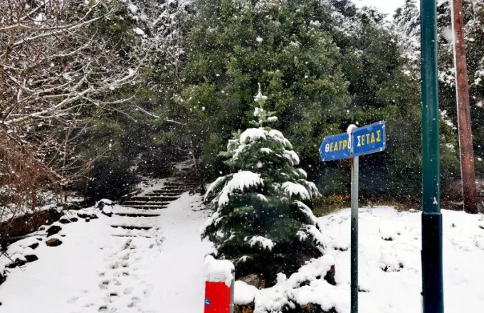Σέτα Ευβοίας: Το χιόνι κάλυψε το χωριό