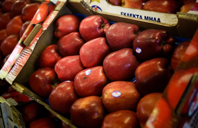 45%, στις εξαγωγές της Θεσσαλίας σημείωσε ότι καταγράφεται στα μήλα 