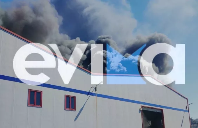 Εύβοια: Μεγάλη φωτιά στην Ριτσώνα