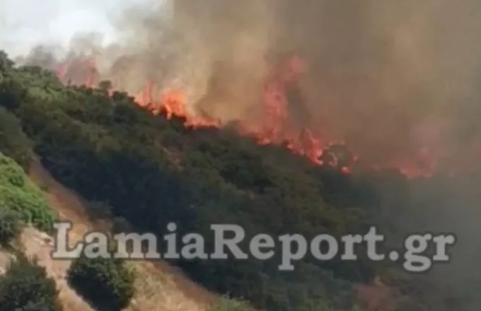 Λαμία: Μεγάλη φωτιά σε εξέλιξη στην Καμηλόβρυση