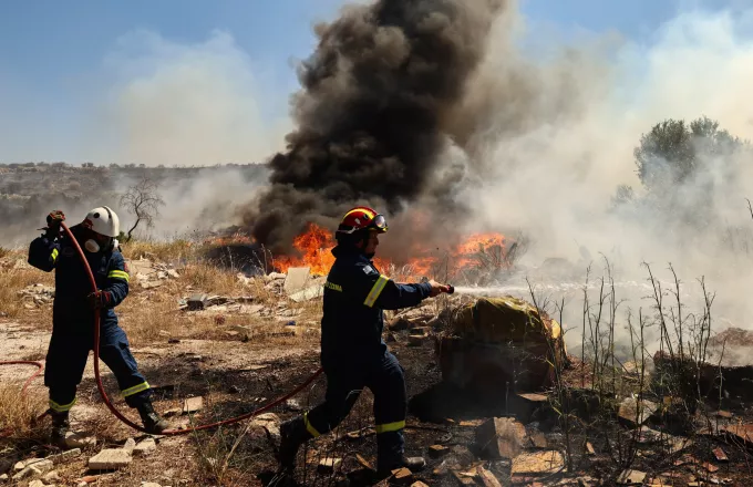 Μυτιλήνη: Φωτιά σε ελαιώνες στη Μόρια