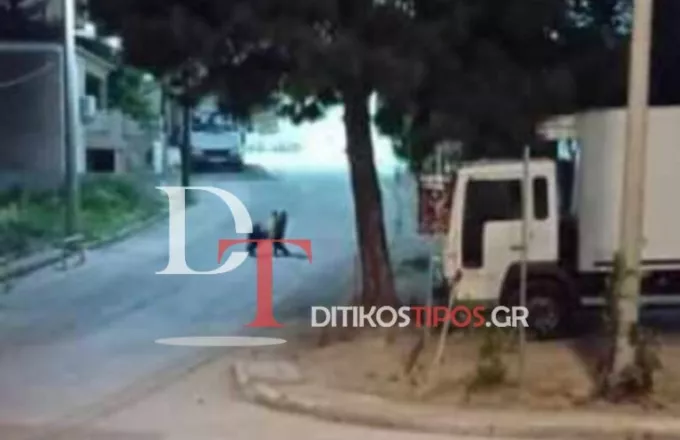 Πανικός στο Άργος Ορεστικό: Εξαγριωμένη μαμά αρκούδα εγκλωβίστηκε στο κέντρο της πόλης – Δείτε βίντεο 