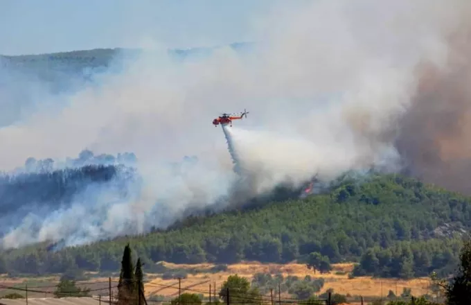 Φωτιά Άρτα Ρέθυμνο