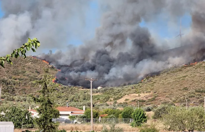 Ελλάδα: 52 πυρκαγιές το τελευταίο εικοσιτετράωρο σε όλη την χώρα
