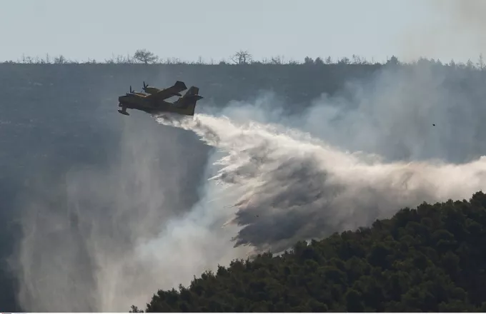 Φωτιά στη Μεταξάδα Μεσσηνίας 