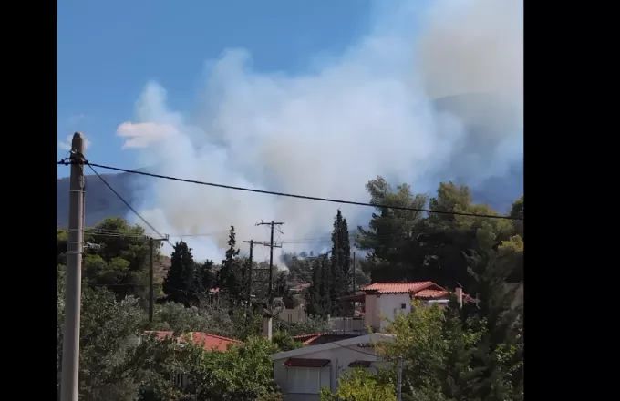 Μέγαρα: Φωτιά στο Νέο Μάζι Μεγάρων 