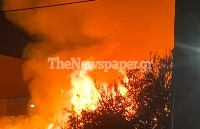 Φωτιά σε βιομηχανική ζώνη στον Βόλο