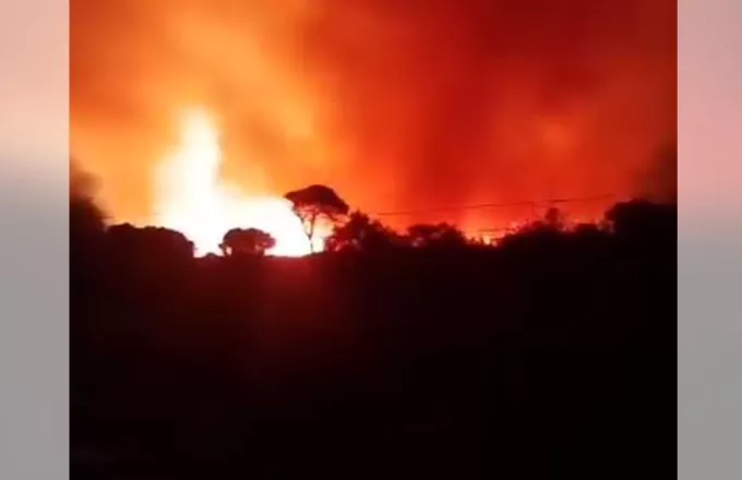 Μεγάλη φωτιά σε προστατευόμενο δάσος στη Στροφυλία