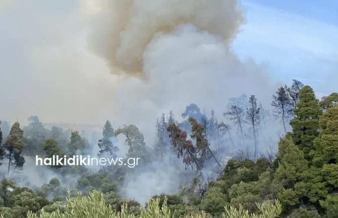 Φωτιά στη Σιθωνία Χαλκιδικής - 3 χλμ από τον Νέο Μαρμαρά 