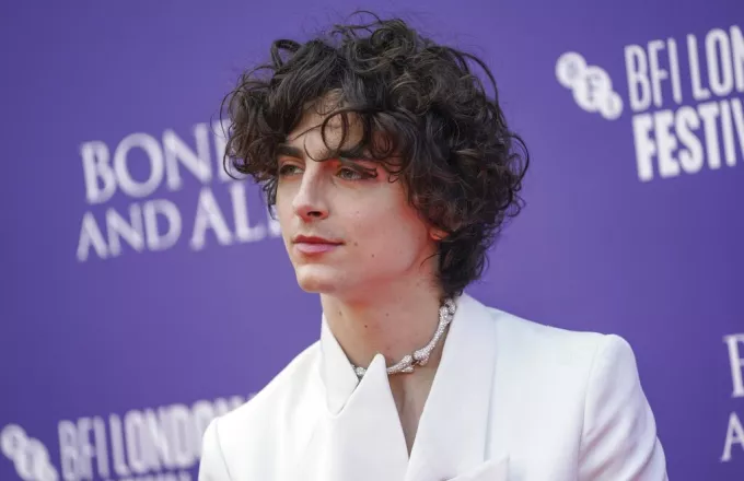 Timothee Chalamet