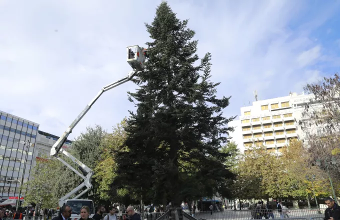 Χριστούγεννα στην Αθήνα: Αυτή την Πέμπτη φωταγωγείται το δέντρο στο Σύνταγμα