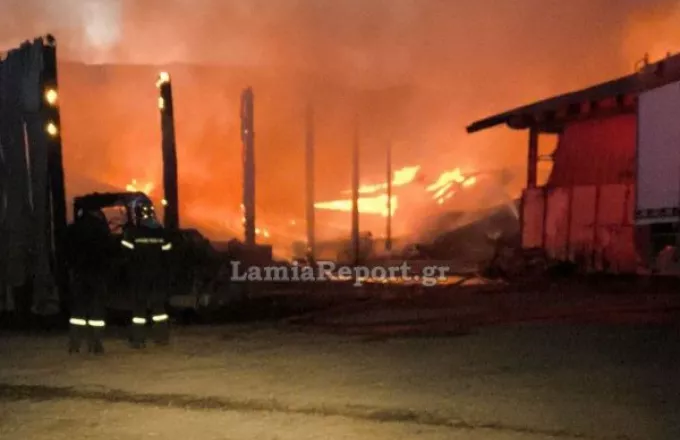 Φωτιά σε ποιμνιοστάσιο με 2.500 ζώα στα όρια Μαγνησίας - Φθιώτιδας