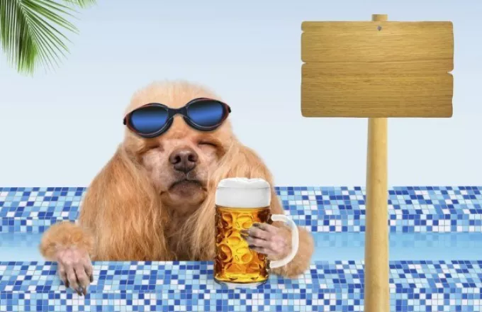 «Και πίνω μπίρες...» Κυκλοφόρησε μπίρα για σκύλους στη Βρετανία