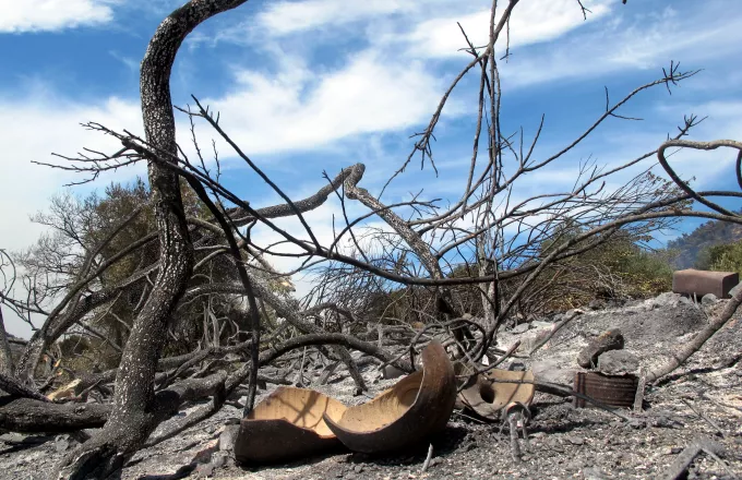 WWF: Ανάγκη για άμεση κινητοποίηση στη Χίο