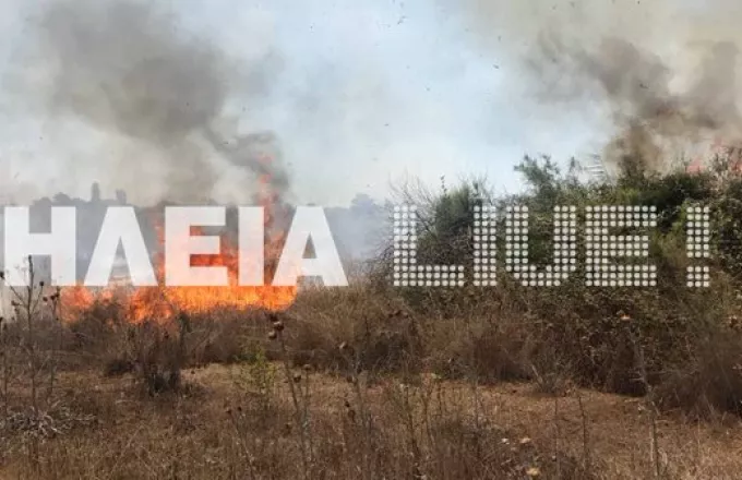 Φωτιά στο Λευκοχώρι Ηλείας