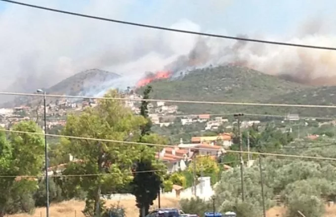 Εκτός ελέγχου η πυρκαγιά στην Κερατέα - Εκκενώθηκαν οικισμοί και ένα γηροκομείο