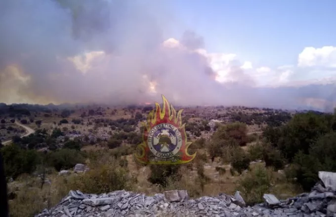 Φωτιά σε δάσος στα Ιωάννινα, σπεύδει να αποτρέψει επέκταση η Πυροσβεστική