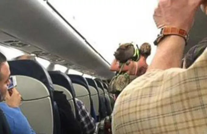 Φέρθηκε σα γουρούνι: Πέταξαν κακήν - κακώς χοίρο έξω από πτήση της American Airlines