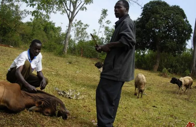 Σφαγή χωρικών στη νοτιοανατολική Κένυα
