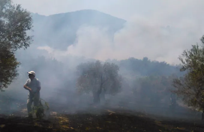 Yπό μερικό έλεγχο οι πυρκαγιές σε Μυτιλήνη και Σιθωνία (video)