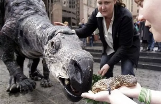 Αυστραλία: Ο... μουταμπουρόσαυρος ξαναζεί! 