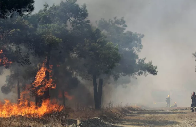 Πυρκαγιά στην περιοχή της Αρχαία Ολυμπίας χωρίς κίνδυνο για τα μνημεία