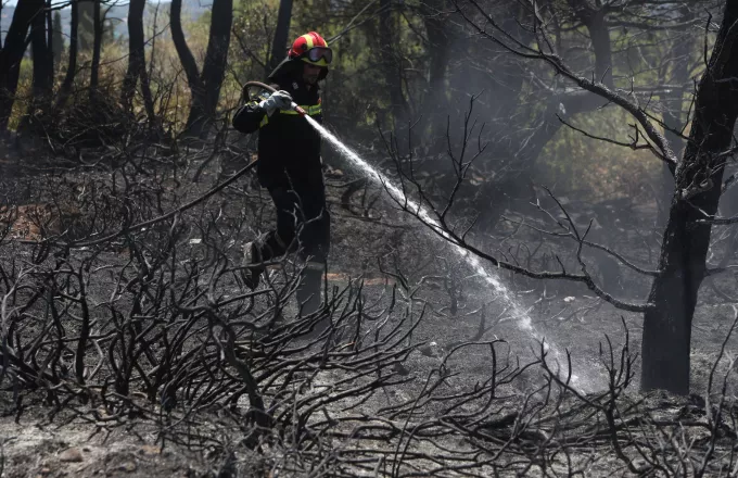 Σε ύφεση η φωτιά κοντά στο πάρκο του Σκοπευτηρίου της Καισαριανής