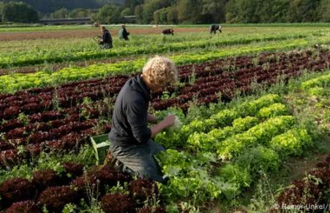 Γερμανία: Γιατί οι νέοι… σνομπάρουν το αγροτικό επάγγελμα;