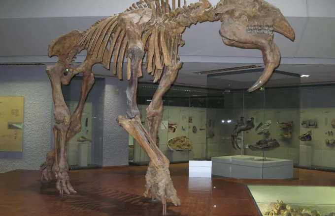 deinotherium